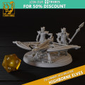 Titan Forge – Highbornes Elves – Phoenix Balista 1
