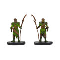 D&D Icons of the Realms: Starter Set 4