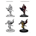D&D Nolzur's Marvelous Unpainted Miniatures: Vampires 2