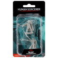 D&D Nolzur’s Marvelous Miniatures: Human Male Sorcerer 0