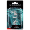 D&D Nolzur’s Marvelous Miniatures: Human Female Barbarian 0