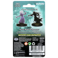D&D Nolzur’s Marvelous Miniatures: Wraith & Specter 1