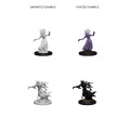 D&D Nolzur’s Marvelous Miniatures: Wraith & Specter 2