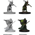 D&D Nolzur's Marvelous Miniatures: Elf Male Druid 1