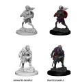 D&D Nolzur's Marvelous Miniatures: Drow 1
