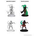 D&D Nolzur's Marvelous Miniatures: Tiefling Female Sorcerer 1