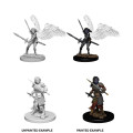 D&D Nolzur's Marvelous Miniatures: Aasimar Female Paladin 2