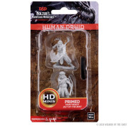 D&D Nolzur's Marvelous Miniatures: Male Human Druid
