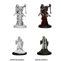 D&D Nolzur's Marvelous Miniatures: Green Hag & Night Hag 2