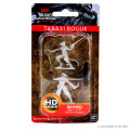 D&D Nolzur's Marvelous Miniatures - Male Tabaxi Rogue 0