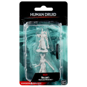 D&D Nolzur's Marvelous Miniatures: Female Human Druid