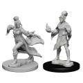 Pathfinder Battles - Elf Female Sorcerer 2