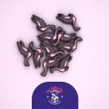 Draftosaurus Marina – Stickers Pack 2
