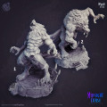 Cast n Play - Midnight's Curse - Complet Set 10