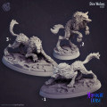 Cast n Play - Midnight's Curse - Dire Wolves 0