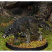 7TV - Dire Wolf B