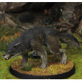 7TV - Dire Wolf B 0