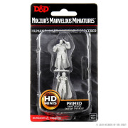 D&D Nolzur's Marvelous Miniatures - Human Ranger & Moon Elf Sorcerer