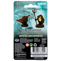 Pathfinder Deep Cuts - Tortles Adventurers 1