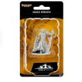 Pathfinder Deep Cuts - Genie Efreeti 0