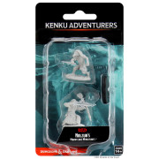 D&D Nolzur's Marvelous Miniatures: Kenku Adventurers
