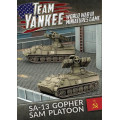 Team Yankee - SA-13 Gopher SAM Platoon 0