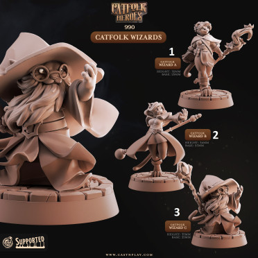 Cast n Play - Catfolks Heroes - Wizards