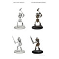 D&D Nolzur's Marvelous Unpainted Miniatures : Female Dragonborn Sorcerer 2