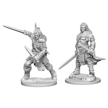 Pathfinder Battles Deep Cuts Unpainted Miniatures: Human Male Fighter