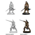 Pathfinder Battles Deep Cuts Unpainted Miniatures: Human Male Fighter 1