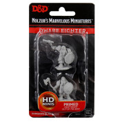 D&D Nolzur's Marvelous Miniatures: Male Dwarf Fighter