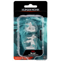 D&D Nolzur's Marvelous : Female Human Monk 0