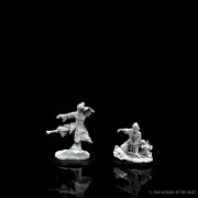 D&D Nolzur's Marvelous Miniatures: Female Human Monk 2