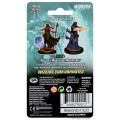 D&D Nolzur's Marvelous : Female Human Wizard 1