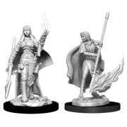 Pathfinder Battles Deep Cuts Unpainted Miniatures: Female Human Oracle