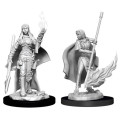 Pathfinder Battles Deep Cuts Unpainted Miniatures: Female Human Oracle 0