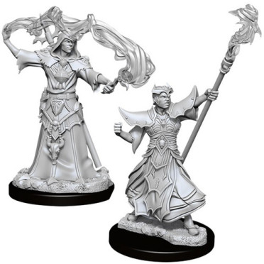 Pathfinder Battles Deep Cuts : Male Human Sorcerer