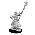 Pathfinder Battles Deep Cuts : Male Human Sorcerer 2