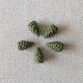 Cascadia - 3D Pinecone 5