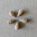 Cascadia - 3D Pinecone 11