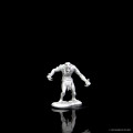 D&D Nolzur's Marvelous Miniatures: Raging Troll 2
