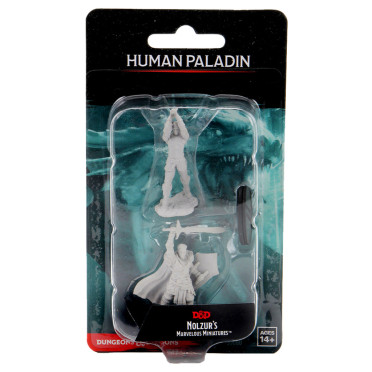 D&D Nolzur's Marvelous Unpainted Miniatures: Human Paladin