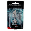 D&D Nolzur's Marvelous Unpainted Miniatures: Female Tiefling Sorcerer 0