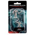D&D Nolzur's Marvelous Miniatures: Male Dragonborn Paladin 0