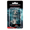 D&D Nolzur's Marvelous Miniatures: Male Human Sorcerer 0