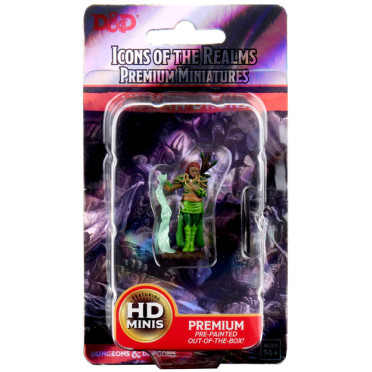 D&D Icons of the Realms Premium Figures - Human Female Druid