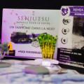 Senjutsu : Fantôme Dans La Nuit 1