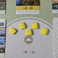 Earth - Objective Markers 7