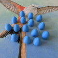 Wingspan - Pack œufs 2