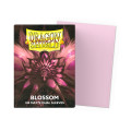 100 Dragon Shield Matte : Blossom 1
